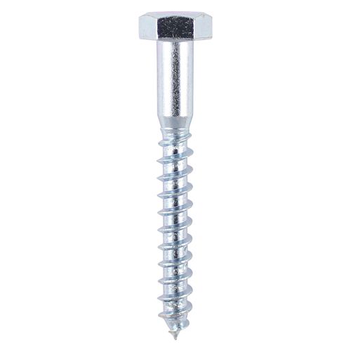 Coach Screw 8 x 80mm (Bag 5)